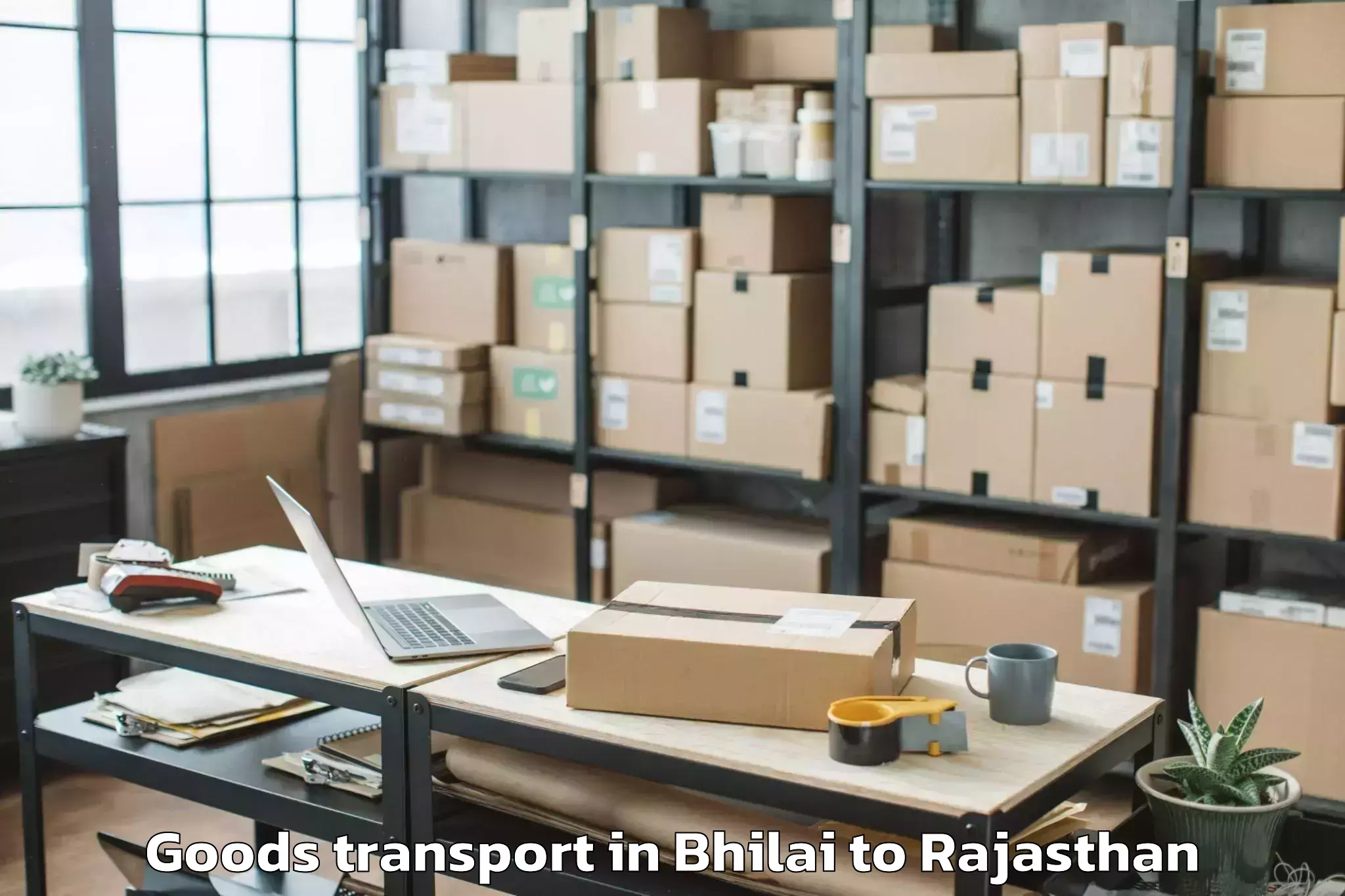 Book Bhilai to Udaypur Goods Transport Online